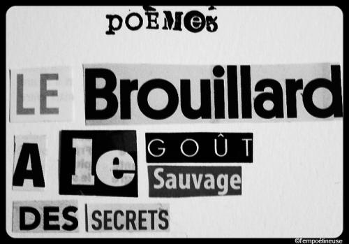 365 poèmes - Jour 5©empoétineuse